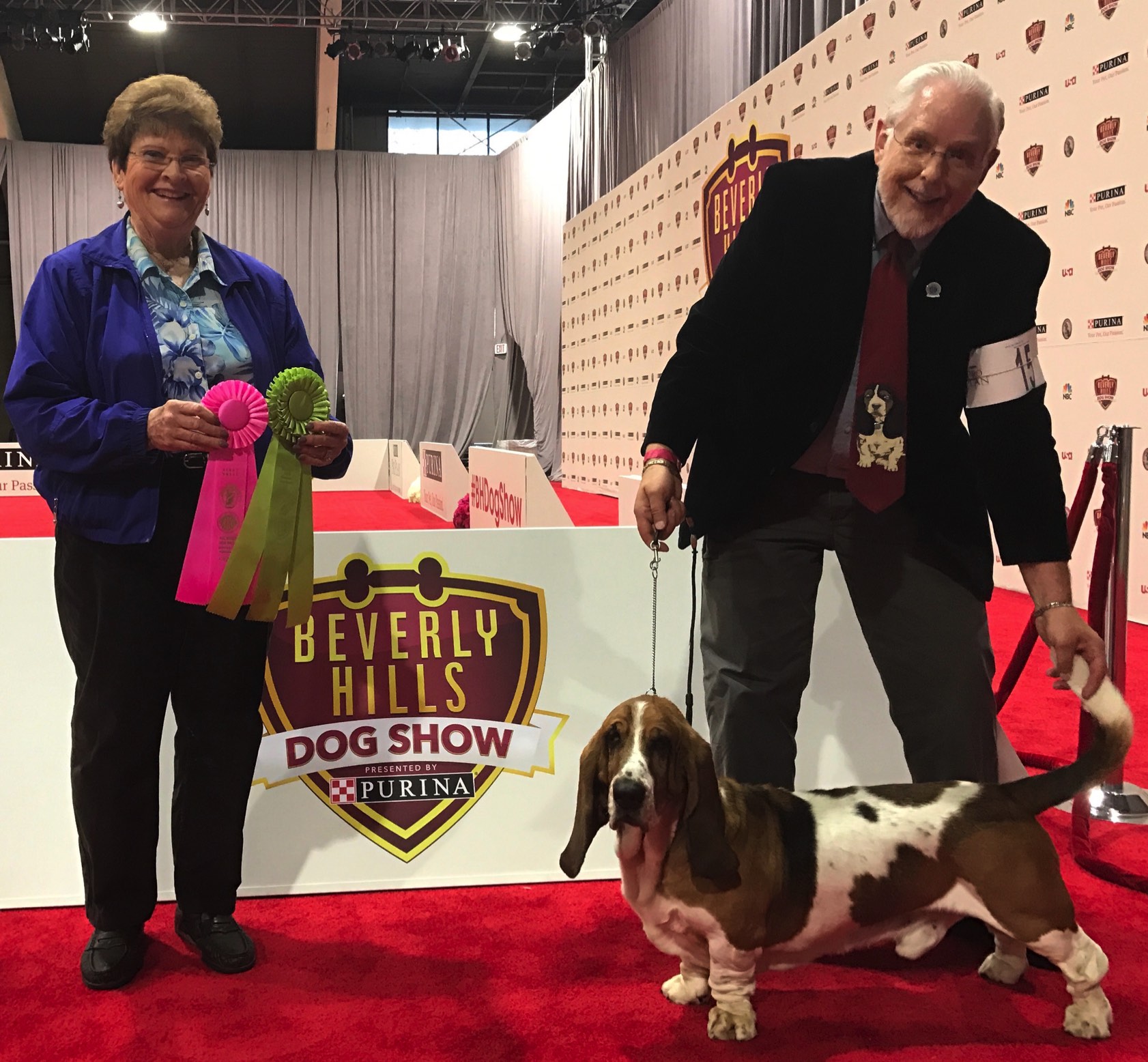 Basset hound hot sale nationals 2019